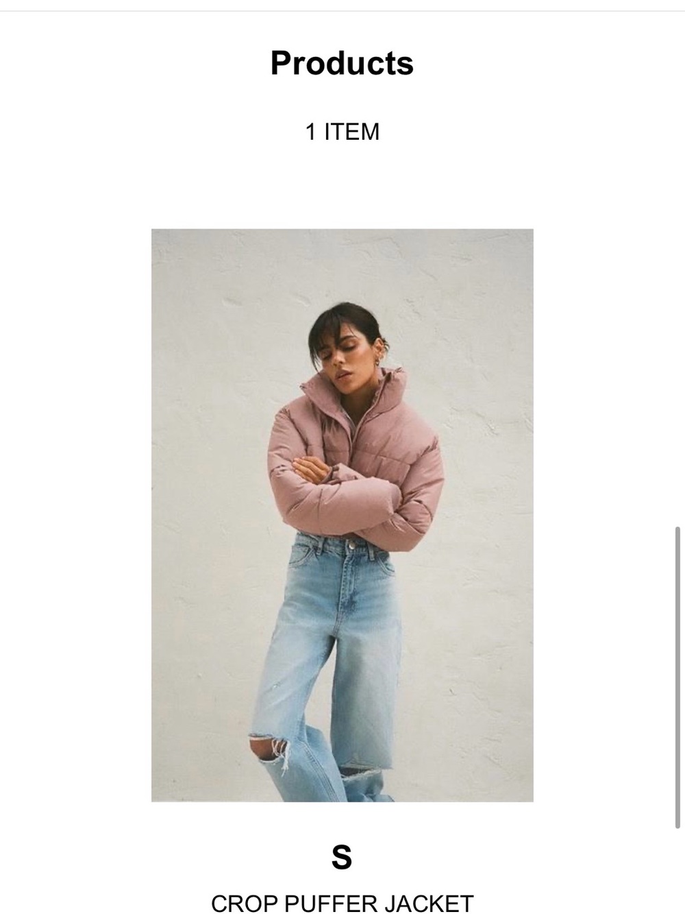 Zara Cropped Puffer Jacket